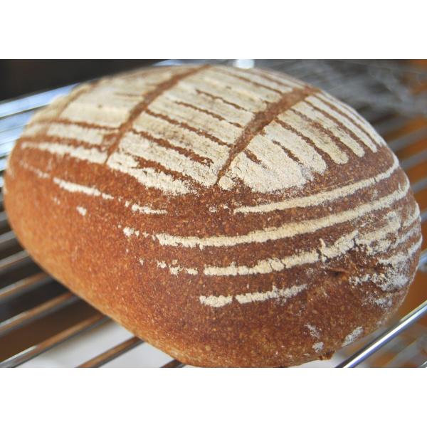 yYzS100%phJp[j@v[(half)