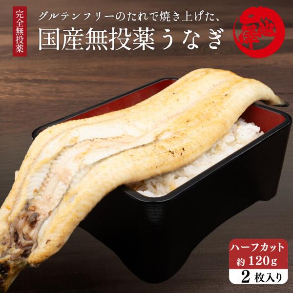 国産 無投薬うなぎ白焼き 超特大 ハーフカット 約120g×2枚 グルテンフリーのたれ プレゼント ギフト 誕生日 お祝い 贈答