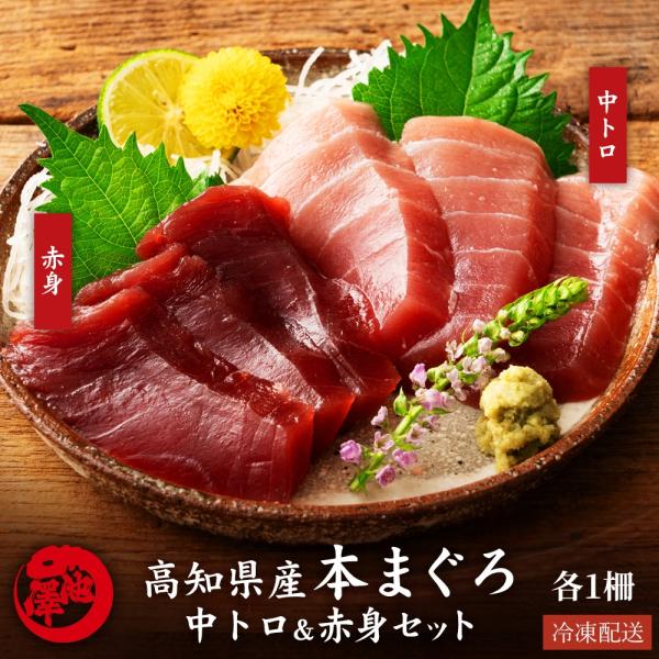本まぐろ 高知県産 中トロ 赤身 2種食べ比べセット 各1個 本マグロ 鮪