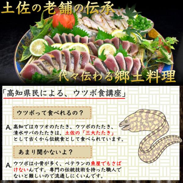 海鮮 珍味 うつぼのたたき ウツボ2パック 300g以上 送料無料 高知 池澤鮮魚 秘伝のタレ付 ご贈答用 ギフト Visiomed Co Za