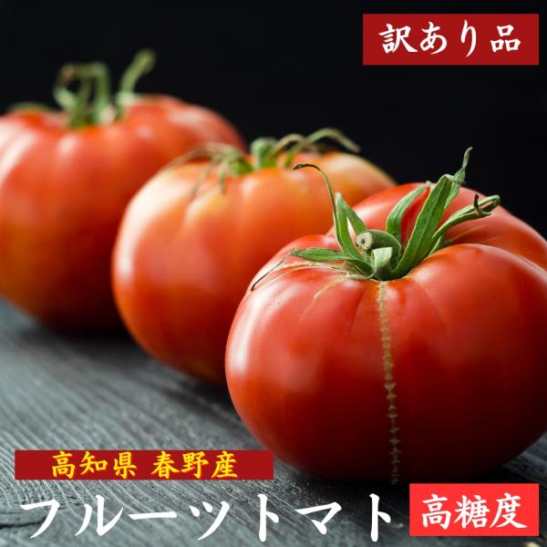 トマト フルーツトマト 高知県産 高濃度 ミニトマト 約3kg 高級 訳あり