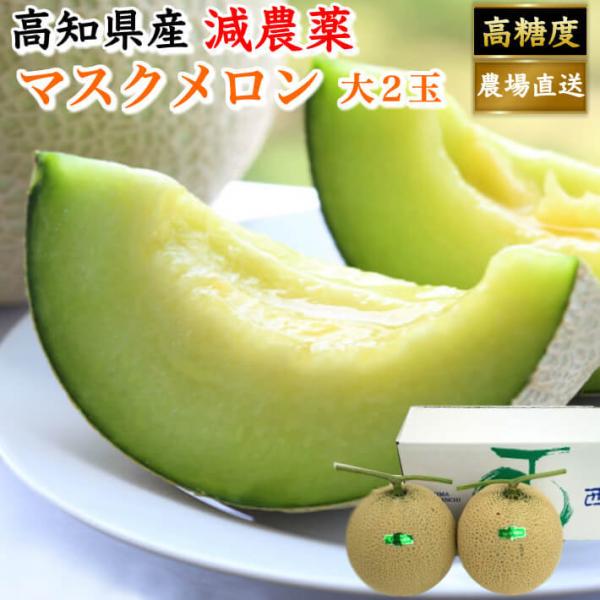 高知県産マスクメロン【家庭用】3玉 marin-online_10000185