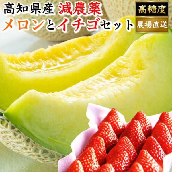 高知県産 マスクメロン いちごセット 大玉 贈答 高級 ギフト 高知県産 マスクメロン いちごセット 大玉 贈答 高級 ギフト