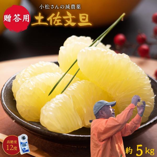 文旦　20kg 12 文旦 土佐文旦 糖度12度 高知県産 減農薬 約5kg 贈答用 2L-L