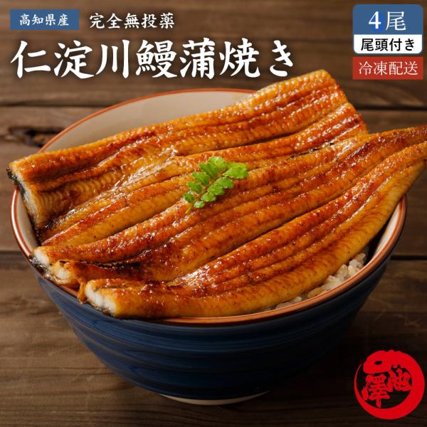 高知県産 うなぎ 蒲焼き 国産 4尾 完全無投薬 仁淀川 プレゼント ギフト 誕生日 お祝い 贈答