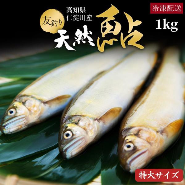 marin-online_10000293