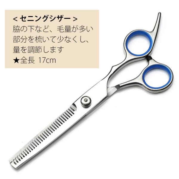 犬用ハサミ✂️ブラシ。8点セットႺტ◕‿◕ტჂ トリミングシザー トリミング用はさみ 4点セット ペット 犬 猫 お
