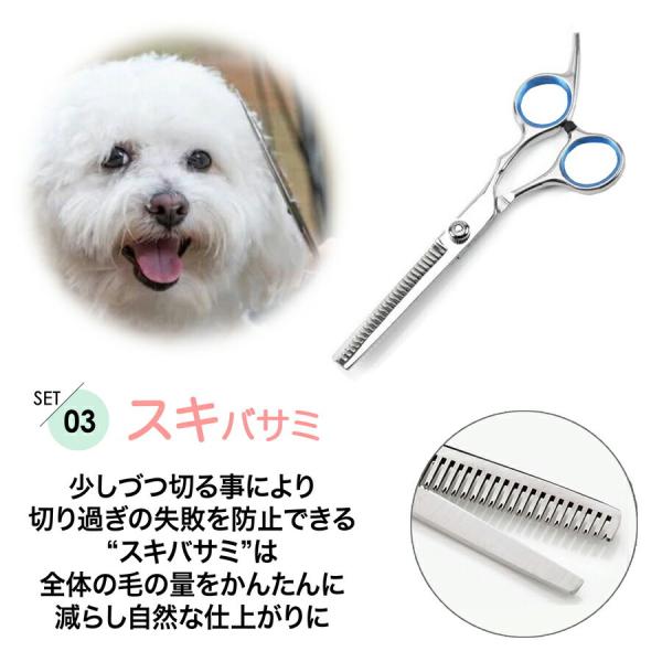 トリミングシザー トリミング ハサミ 6点セット ペット 猫 犬 足裏