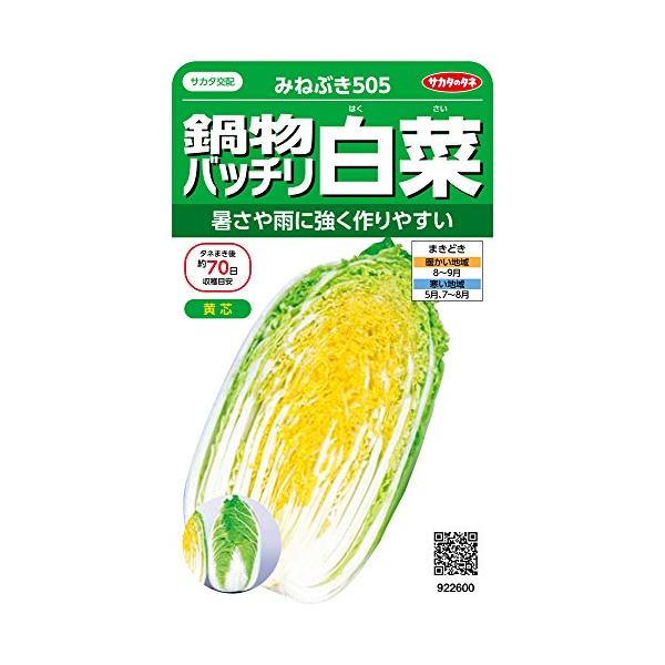 サカタのタネ 実咲野菜2600 鍋物バッチリ白菜 みねぶき505 00922600