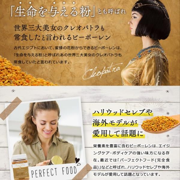 ビーポーレン お試し 250g 送料無料 パーフェクトフード 蜜蜂花粉 ニュージーランド産 初回限定お一人様1本限り Buyee 日本代购平台 产品购物网站大全 Buyee一站式代购 Bot Online