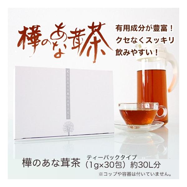 樺のあな茸茶（1g×30包）天然カバノアナタケ100％ ティーバックタイプ チャーガ茶 カバノアナタケ茶 お茶 ノンカフェイン 健康茶 国産 北海道産 プラスケア