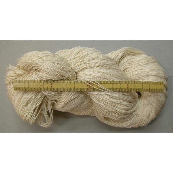 mariya_itotakoito2go