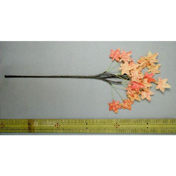 [։@ ݂}@ l`ޗ@ԁ@