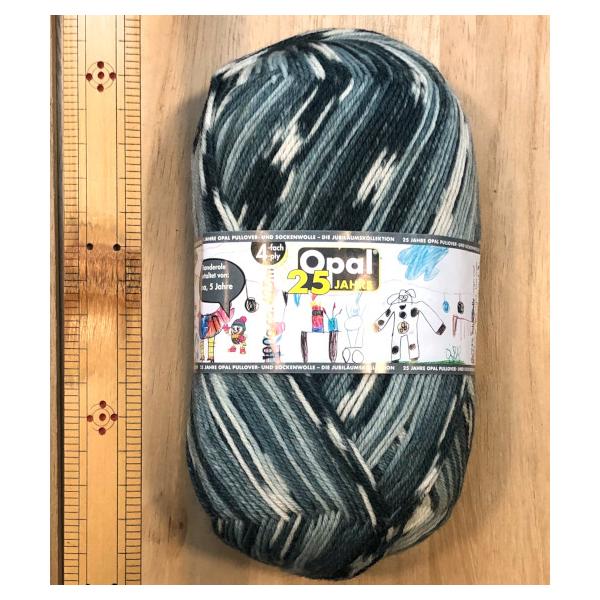 [։@ no`kю@11044  4{@݌Ɍ@Ip[@Ip[ю 25 Jahre Opal groes Fest