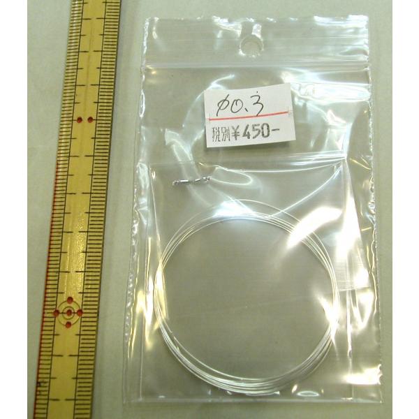 mariya_sippoginsenmaru3