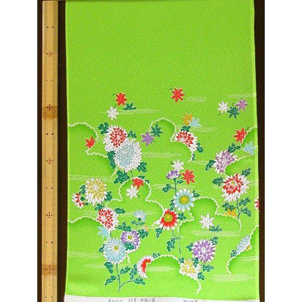 柄友禅並幅 紗綾形地文様（小）の黄緑地に、雲取り、菊、紅葉、霞