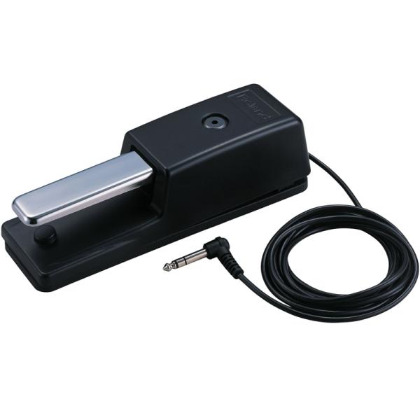 Roland DP-10@_p[y_yz敪Az