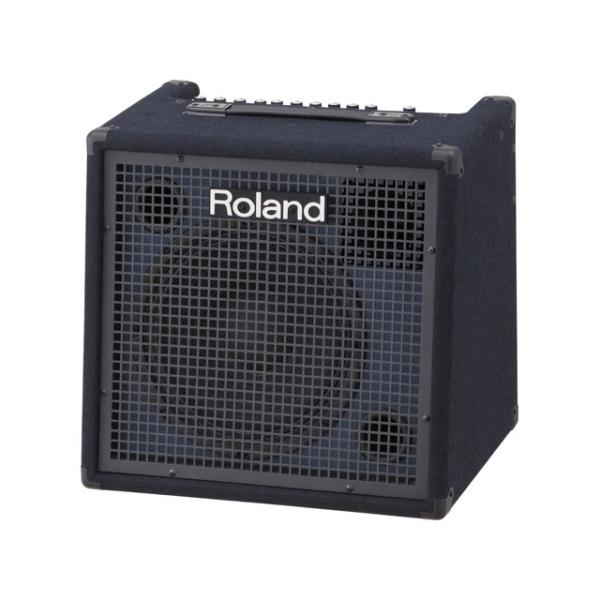 Roland CUBE MONITOR キーボードアンプ Roland CUBE MONITOR キーボードアンプ