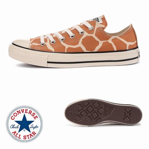  Ro[X 胂f converse I[X^[ US WtX|bg OX uE ALL STAR US GIRAFFESPOT OX Y fB[X Xj[J[
