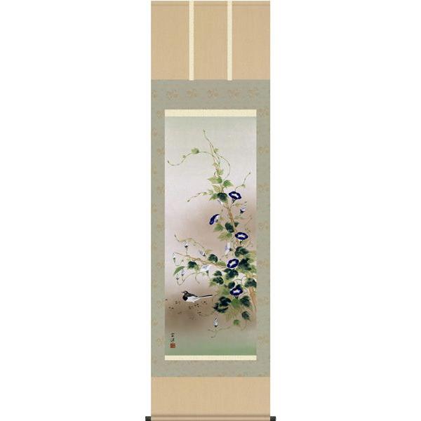 掛け軸 花鳥画 (夏)四季花鳥・朝顔に鶺鴒（近藤玄洋） 掛軸 : まろ庵