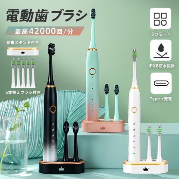 電動歯ブラシ 音波歯ブラシ usb充電式 替えブラシ5本 ナノ歯ブラシ 5つモード 大人 高速振動 静音設計 IPX8防水 タイマー機能 水洗い 爆買