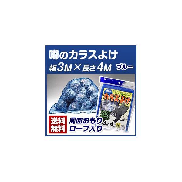 JX΍EJXlbg@\̃JX悯R×S()  S~lbg