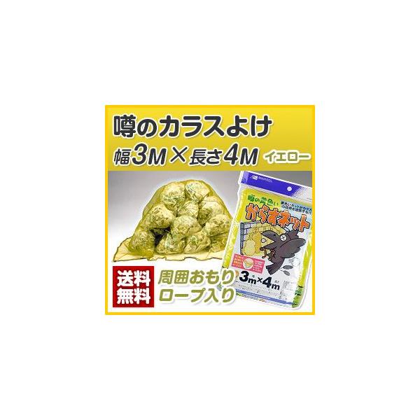 JX΍EJXlbg@\̉FJX悯R×S() S~lbg
