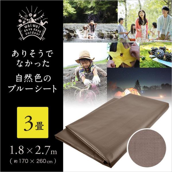 カラーブルーシート(ベージュ) marsol-morishita_yr1015brbe
