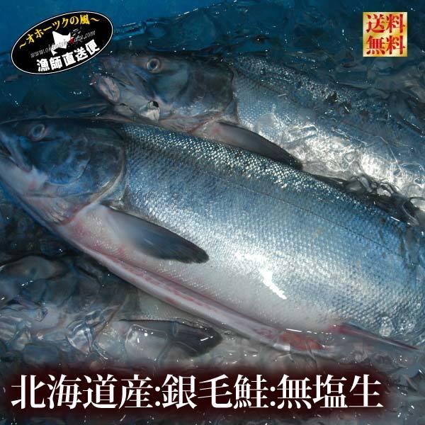 予約 新巻鮭 無塩 生鮭 輪切り 姿造り Lサイズ 北海道産 天然鮭 さけ サケ シャケ 一本物 箱入り 化粧箱 オホーツクの風 北海道かに専科 通販 Yahoo ショッピング