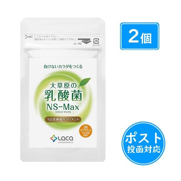 大草原の乳酸菌NS-Max(36粒×2袋)+8粒増量≪ポスト投函対応