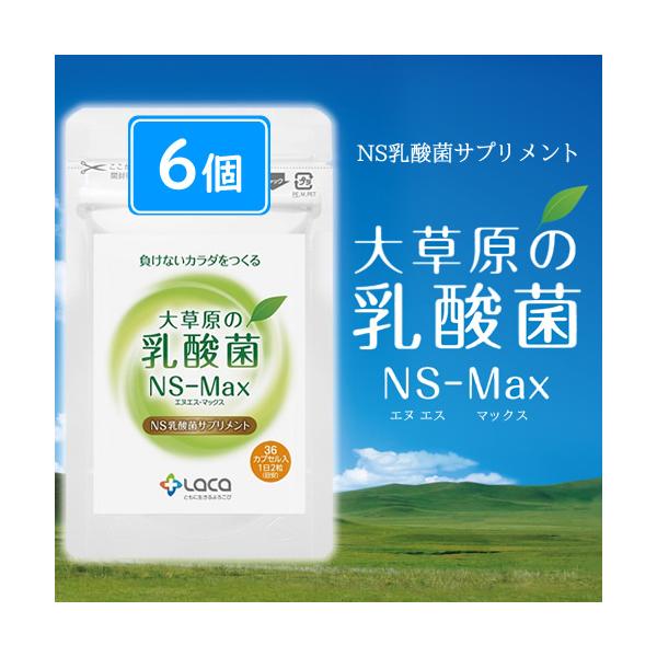 大草原の乳酸菌NS-Max(36粒×6袋)+32粒(8粒×4袋)増量 : マルアイ