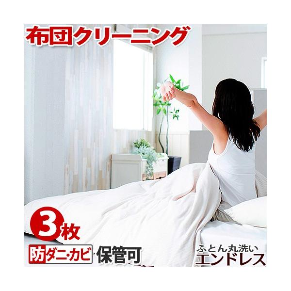 【ご注文前にご確認くださいませ！】・こちらの商品は防ダニ・カビ加工セットです。 ※毛布に関しまして ・クリーニングする際の毛布の分類は、一重・２枚合わせの中綿が入っていないシンプルな物となります。・毛布と言う事でご注文された後にお品物をご確...