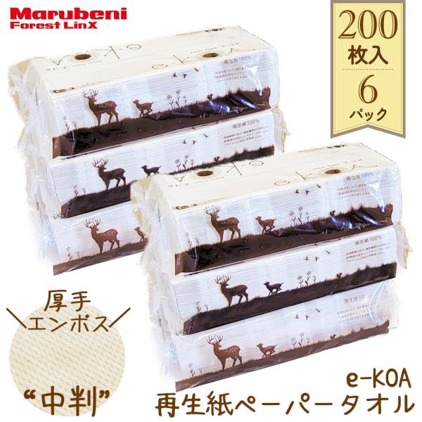 ペーパータオル 業務用 中判 国産 ハンドペーパー ハンドペーパータオル ペーパー e-KOA エコア 厚手 再生紙 200枚 シングル 6パック 大容量 まとめ買い 箱売り