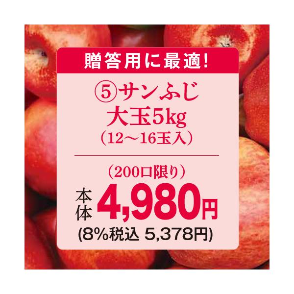 りんご　林檎（贈答用）（予約）（５）長野県産中島農園サンふじ大玉５ＫＧ（１２〜１６玉）