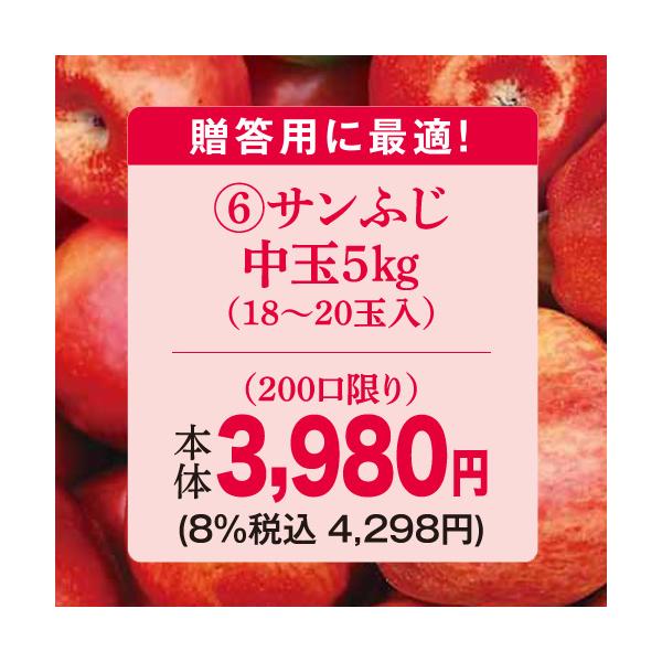 りんご　林檎（贈答用）（予約）（６）長野県産中島農園サンふじ中玉５ＫＧ（１８〜２０玉）