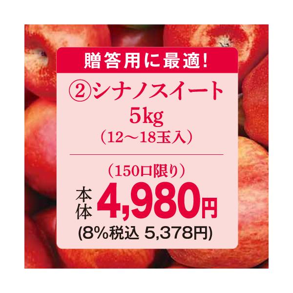 りんご　林檎（贈答用）（予約）（２）長野県産中島農園シナノスイート５ＫＧ（１２〜１８玉）