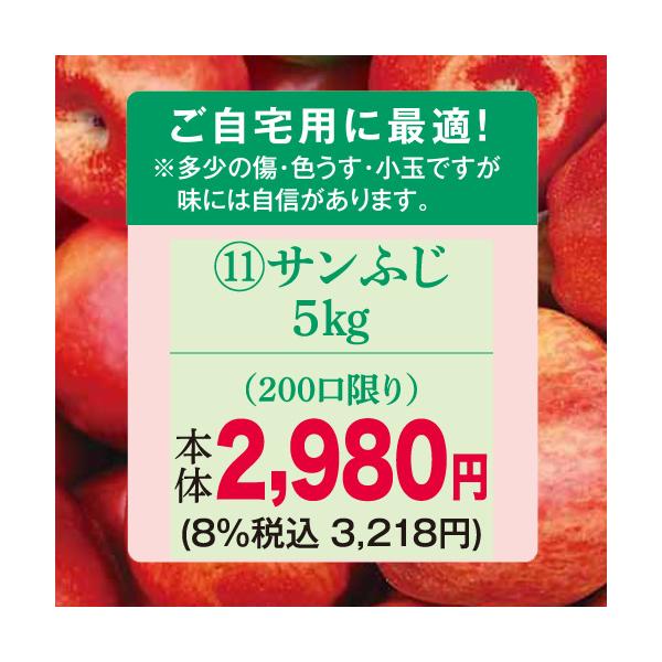 りんご　林檎（ご自宅用）（予約）（１１）長野県産中島農園ご自宅用サンふじ５Ｋ※多少のキズ、色うす、小玉の場合があります。