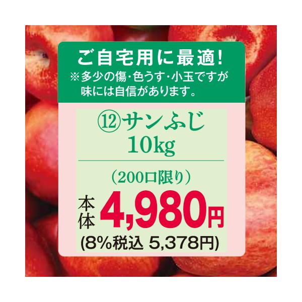 りんご　林檎（ご自宅用）（予約）（１２）長野県産中島農園ご自宅用サンふじ１０Ｋ※多少のキズ、色うす、小玉の場合があります。