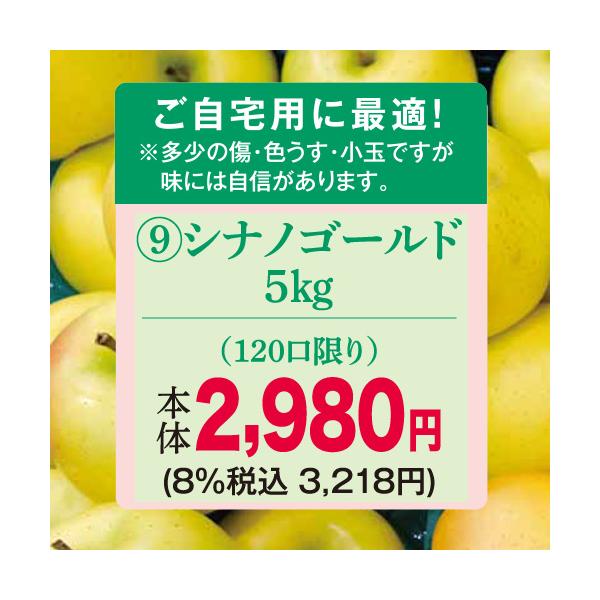 りんご　林檎（ご自宅用）（予約）（９）長野県産中島農園ご自宅用シナノゴールド５Ｋ※多少のキズ、色うす、小玉の場合があります。