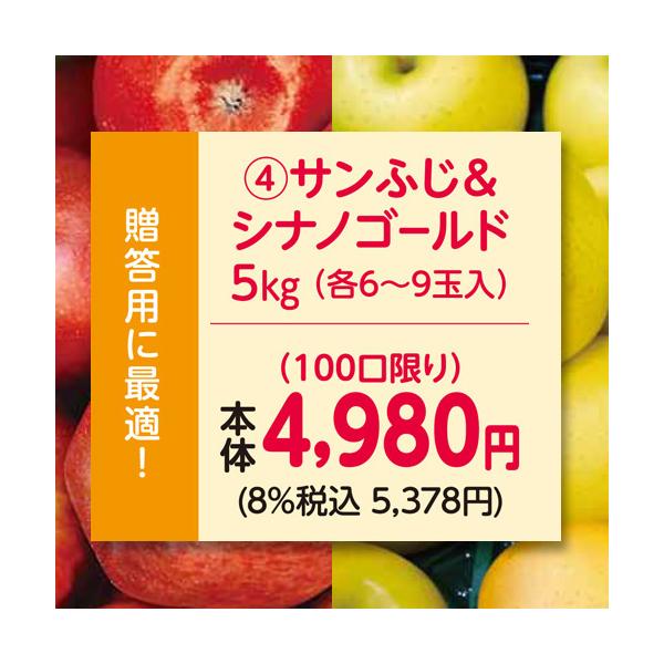 りんご　林檎（贈答用）（予約）（４）長野県産中島農園サンふじ＆シナノゴールド５ｋｇ（各６〜９玉入）