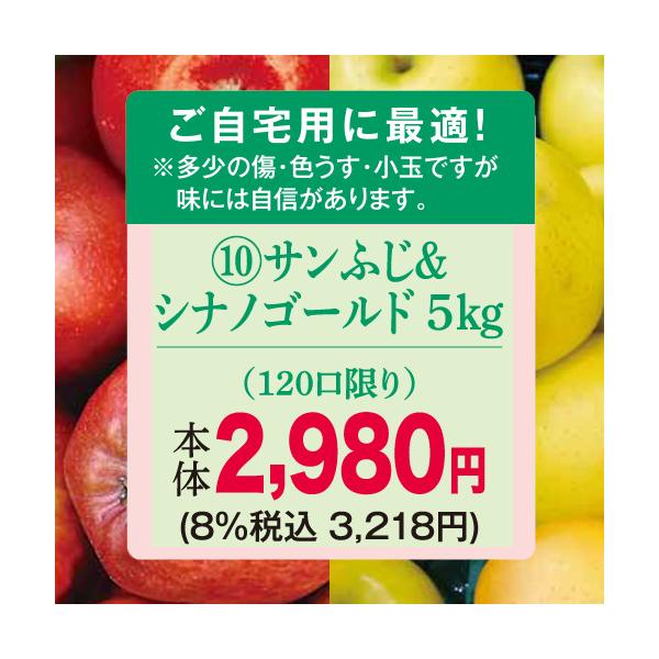 りんご　林檎（ご自宅用）（予約）（１０）長野県産中島農園ご自宅用サンふじ・シナノゴールド５Ｋ※多少のキズ、色うす、小玉の場合があります。
