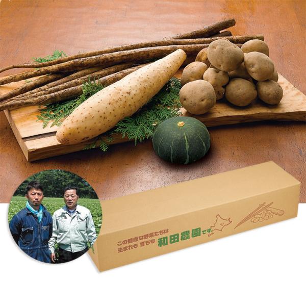 お歳暮 ギフト 和田農園（北海道十勝地区） 和田さんの野菜詰合せセット （220_26冬）
