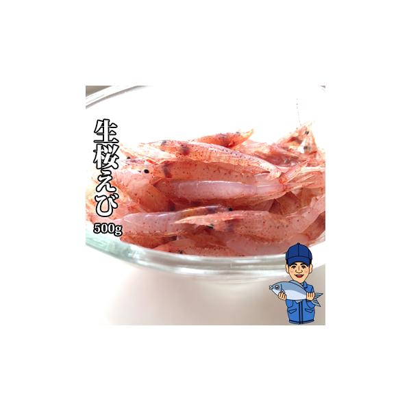 ■生桜えび500g■静岡の駿河湾だけでしかとれない産地直送桜海老。「海のルビー」と言われるほどの貴重な珍味。当店社長が買い付けた新鮮な桜えびをお届けいたします。もちろん生食可能です。◆産地：静岡・駿河湾。賞味期限：冷凍状態で約1ケ月。保存方...
