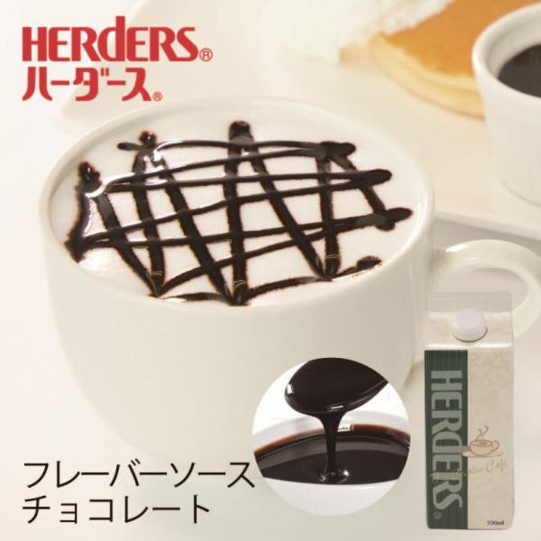 ココアパウダーを使用したリッチな風味のチョコレートソース。エスプレッソなど、コーヒーの苦みとぴったりマッチするフレーバー。ドリンクや、デザートメニューに「混ぜる」「かける」「飾る」など、アイディア次第で様々な使い方が可能です。※保存料は使用...