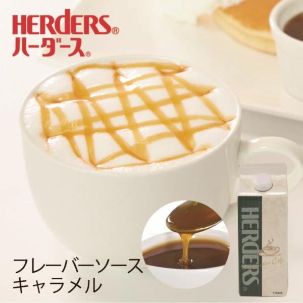 キャラメルの香り高い風味にバターをプラス。ミルクたっぷりのカプチーノに、特にマッチするフレーバー。ドリンクや、デザートメニューに「混ぜる」「かける」「飾る」など、アイディア次第で様々な使い方が可能です。※保存料は使用しておりません。 【商品...