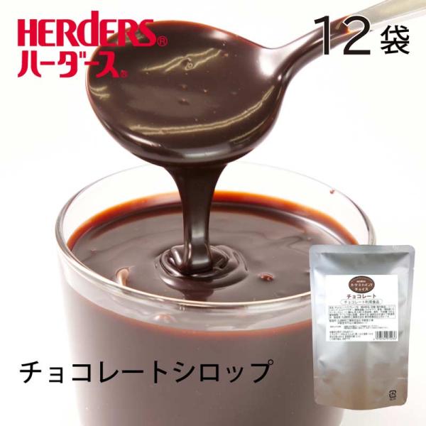 ハーダース トッピングチョイス チョコレート 500g×12袋 ケーキ おやつ トッピング ソース 果物 デザート スイーツ チョコレートソース 業務用