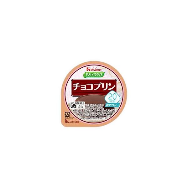 ハウス食品 やさしくラクケア チョコプリン 20kcal 60g