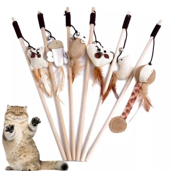 maruhachipetshop_a2005166 maruhachipetshop_a2005166