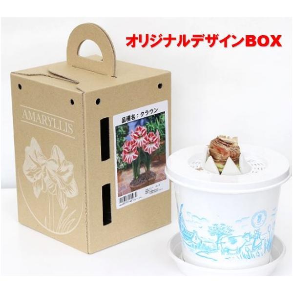 2025/12/12o׊Jn\ A}X   Pyi킨܂z A a j v[g t[  