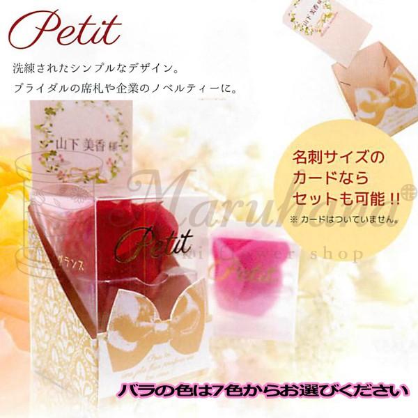 Petit v`y oXtOX  \[vt[ Mtg j  z